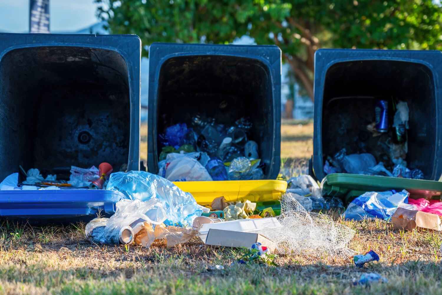 Basement Cleanout Services in Palo, IA